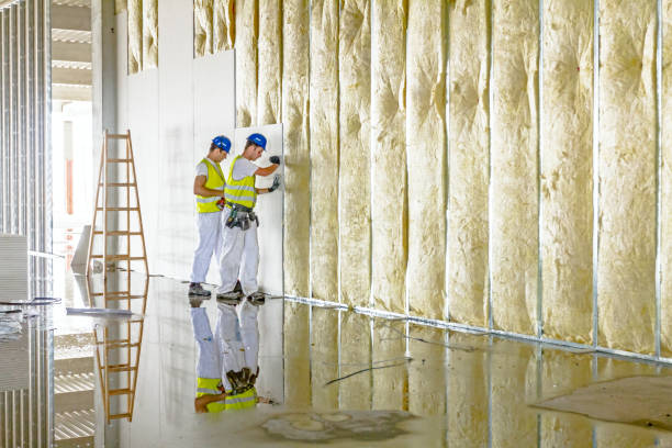 Best Energy Efficiency Insulation in Greenvle, IL